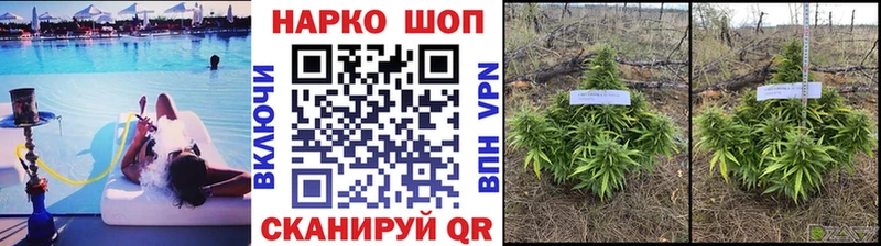 Где купить Калуга A PVP  Конопля  Галлюциногенные грибы  Гашиш  Меф мяу мяу 