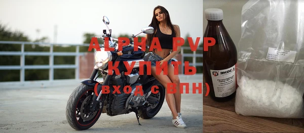 гашик Горняк