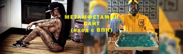 индика Гусев