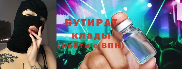 индика Гусев