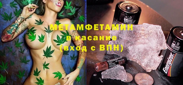 индика Гусев