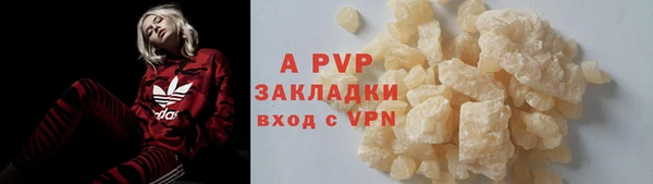 индика Гусев