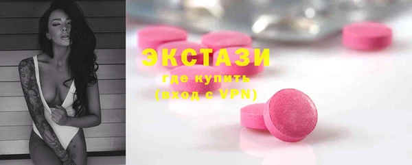 индика Гусев
