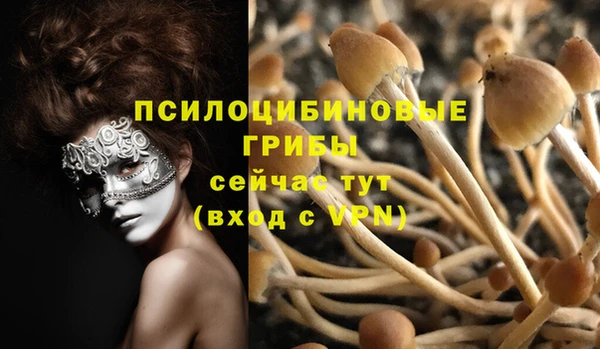 соль курить ск Гусь-Хрустальный