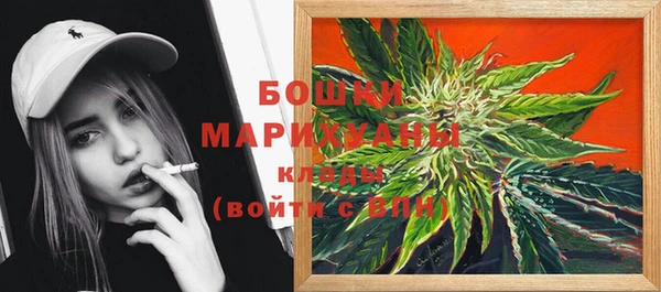 гашик Горняк
