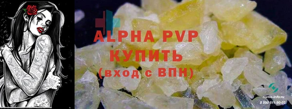 гашик Горняк