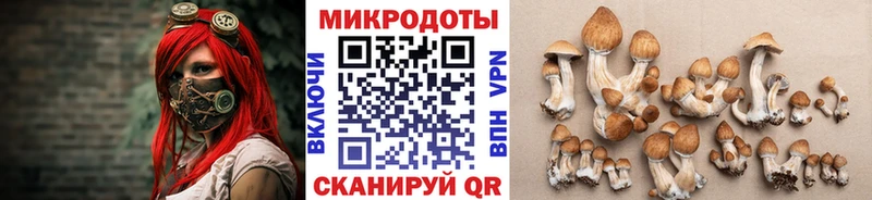Псилоцибиновые грибы MAGIC MUSHROOMS  купить   Калуга 